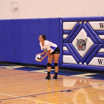 Odalys Nunez-Enriquez