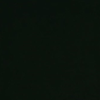 Noah Alexander Liousfi