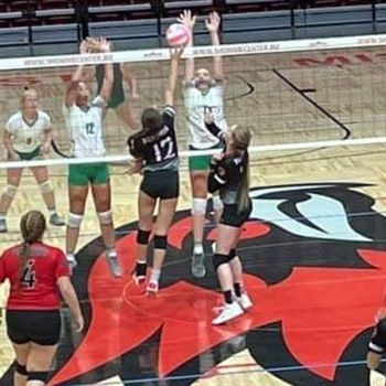 Halli Bollinger-Yount