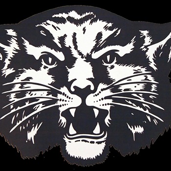 Boys Varsity Football - Baldwyn High School - Baldwyn, Mississippi