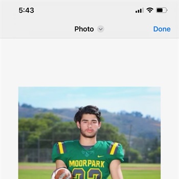 Alexander Caro Vincelette