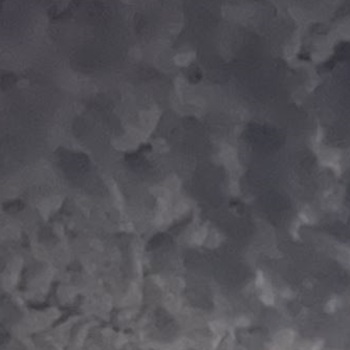 Jaxton (Jones) Frayne