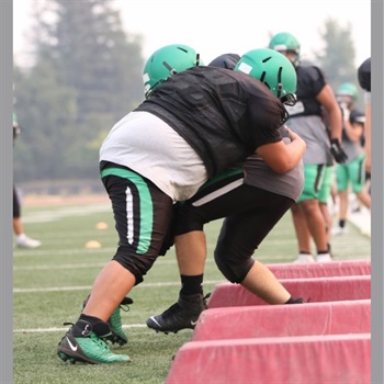 Julian Fischer Guevara