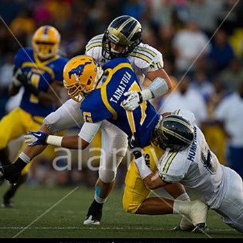 ej taimatuia