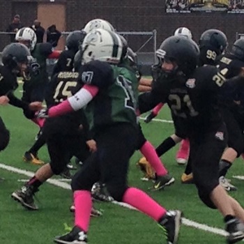 St. Edward Crusader and Feeder