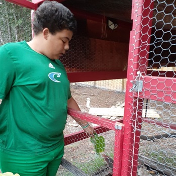 Camden county high school