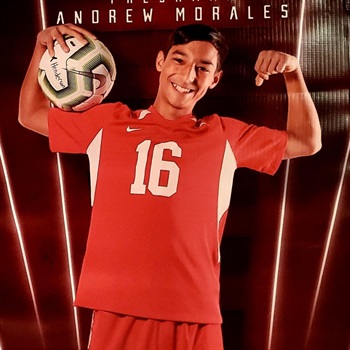 Andrew Morales