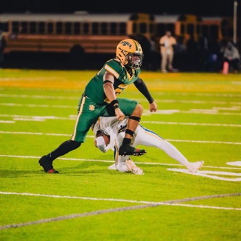 Handsome King Starks