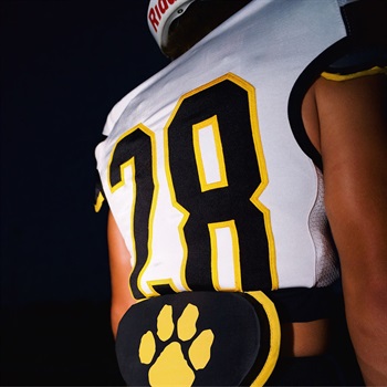 Austin Brown