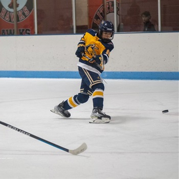 Brooklyn Waterhouse-Hart