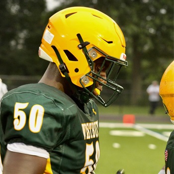 Jacques-Anthony Camille