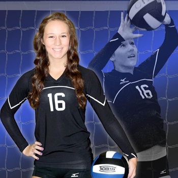 RAYGEN LEE - SETTER 2015