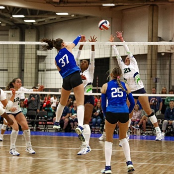 Sophie Hollingsworth