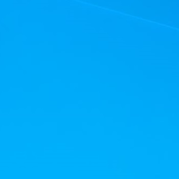 Ronald (Chip) Dickert