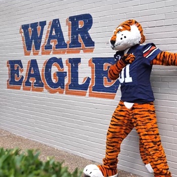 Christopher Alexander