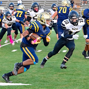 Donnell Harmon III
