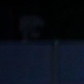 Jaiden Hart-Rodriguez