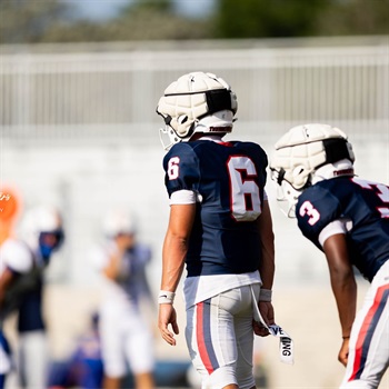Brady Basis