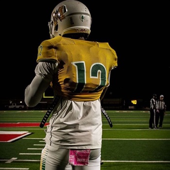 Lee'Herman Henderson