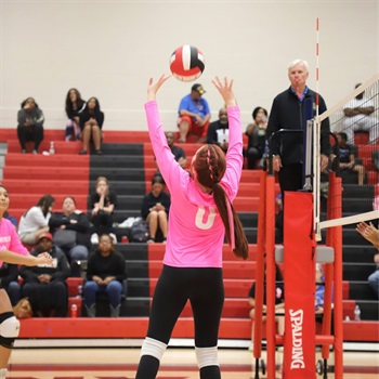 Sandra “Gracie” Cobb