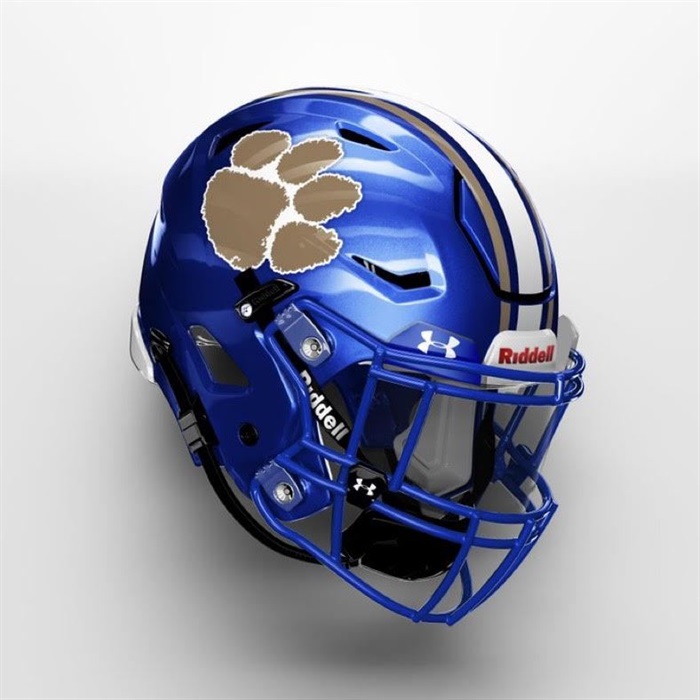 browns football helmet hit Browns Say Medical Staff Missed Hit on McCoy