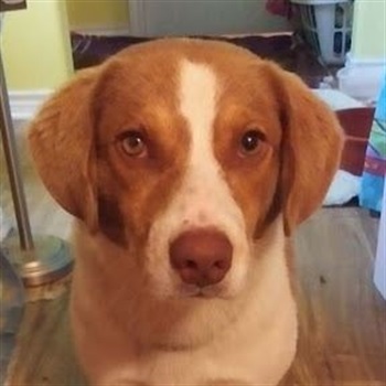 James Grayson Gilbert