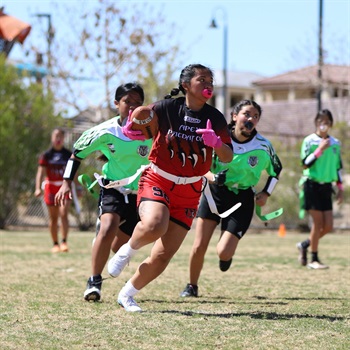 abceedee celeste alconcel