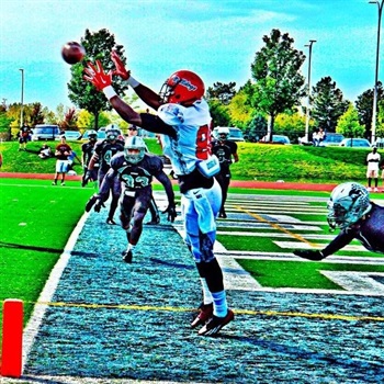 Domo Taylor