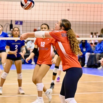 Lily Schwarz-Seifert