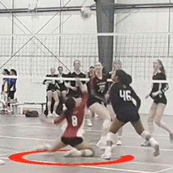 Penelope Joosten Lingo