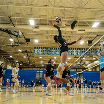 Elliott (Ellie) Eide