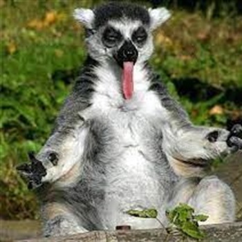 William O'Driscoll Des Lauriers