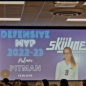 Palmer Pitman