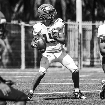 Pedro Vallin  Arcaute