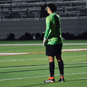 Emiliano Déciga Flores