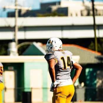 Christopher Stephenson