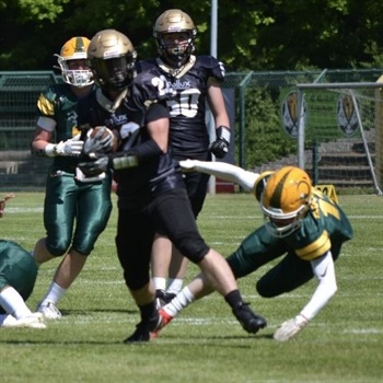 Maximilian Stölting