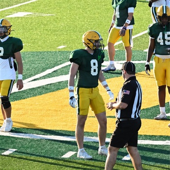 Dylan Wolfe