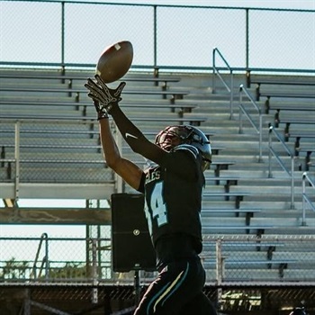 Gio Ware