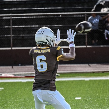 Angeles Gryphon Miranda