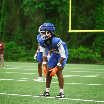 TJ Wilcox