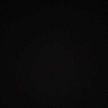 •Justin Gonzalez •