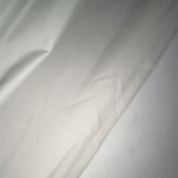 Fernando Paz Salcedo