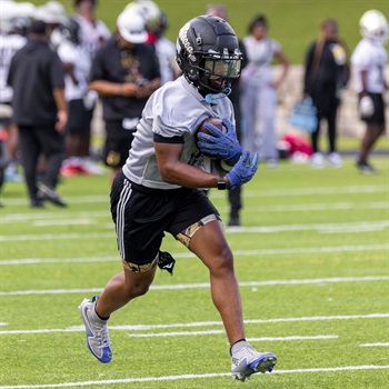 CJ Davis