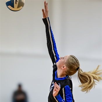 Ava Belford