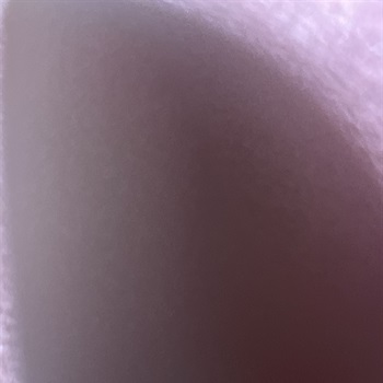 Swanging My Giant Dick