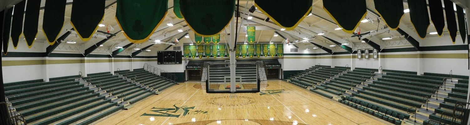 st vincent st mary gym