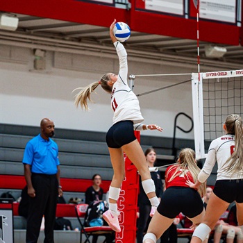 Amelia Mastrogiacomo