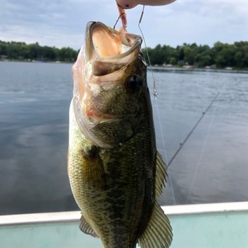 Nickolas James Halverson