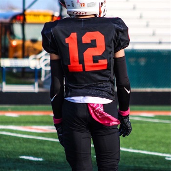 mike Milano 1153090@psd202.org